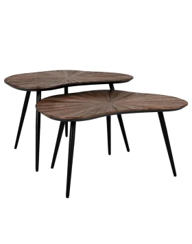 ΣΕΤ 2 ΤΡΑΠΕΖΑΚΙΑ ΣΑΛΟΝΙΟΥ Fylliana Gaia ΚΑΦΕ ΧΡΩΜΑ 76x52x45εκ & 76x52x38εκ