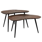 ΣΕΤ 2 ΤΡΑΠΕΖΑΚΙΑ ΣΑΛΟΝΙΟΥ Fylliana Gaia ΚΑΦΕ ΧΡΩΜΑ 76x52x45εκ & 76x52x38εκ